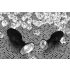 You2Toys - Diamond - silikona anālais spraudnis (mazs)