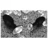 You2Toys - Diamond - silikona anālais svečturis (mazs)