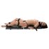 You2Toys - Bondage Board - pārnēsājams saistīšanas komplekts (13 gab.)
