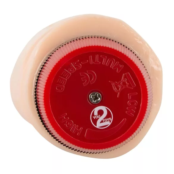 You2Toys - vibrators Pascha