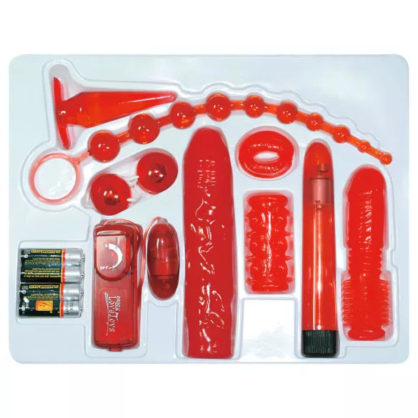You2Toys - vibrators komplekts 9 daļas sarkans rožu dizains