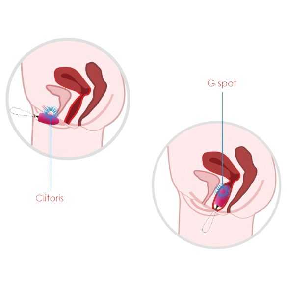 Svakom Elva - tālvadības vibrējoša olveida rotaļlieta uzlādējama sarkana