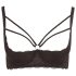 / Cottelli Plus Size - lencīšu krūšu pacēlājs ar gredzenu (melns) - 95E
