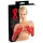 LATEX - garas cimdi gari unisex sarkani - L