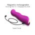 Mīlestības Impulss - violetais G-punkta vibrators
