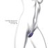 Love to Love Wonderlover - maģiskais G-punkta un klitora vibrators (violets)