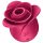 Satisfyer Pro 2 Rose – moderns klitora stimulators (sarkans)