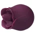 Amaysin - dubultā rozes valodas klitora vibrators (violets)