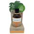 Coconutoil - Bio bronzas eļļa (80ml)