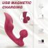 Sex HD sarkanais - klitoram un anālam vibratoram