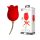 Pretty Love Rose Lover - valdzinošais 2in1 klitors vibrators (sarkans)
