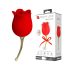 Pretty Love Rose Lover - valdzinošais 2in1 klitors vibrators (sarkans)