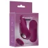 Passion Play - tālvadības, magnētiska biksīšu vibrators (bordo)