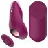 Passion Play - tālvadības, magnētiska biksīšu vibrators (bordo)