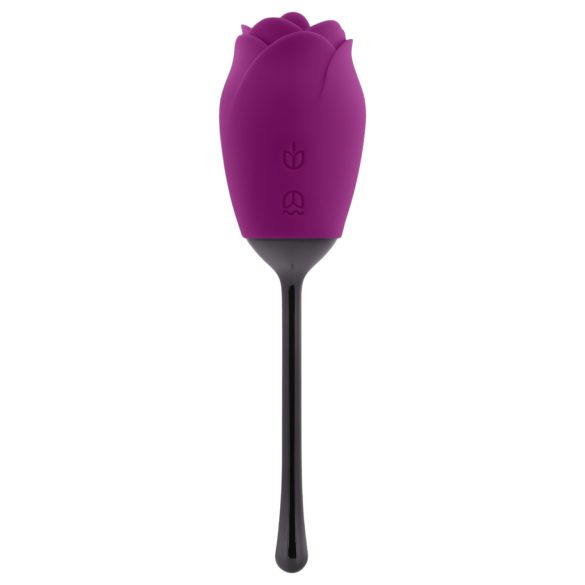 Playboy ūdensizturīgā mēlītes rožu vibrators (violets)