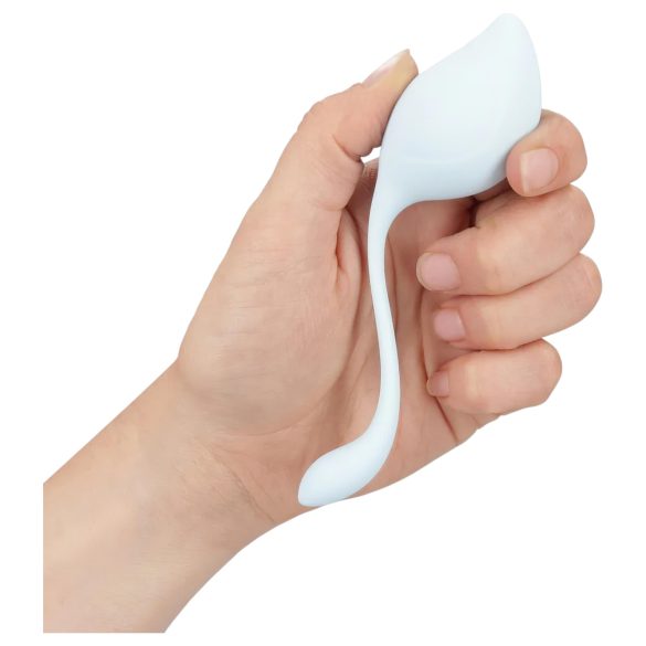 Loveline kegel bumbiņu komplekts sievietēm 5 gab.