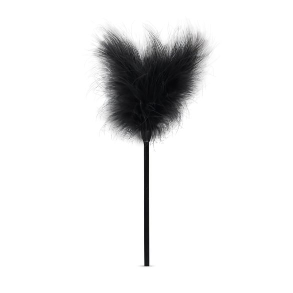 Secret Pleasure Chest - BDSM komplekts pieredzējušiem 14 daļas melns