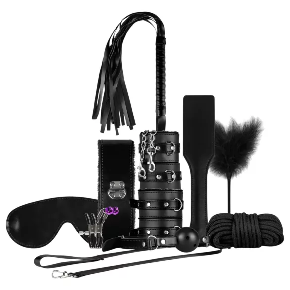 Secret Pleasure Chest - BDSM komplekts pieredzējušajiem - 14 daļas (melns)