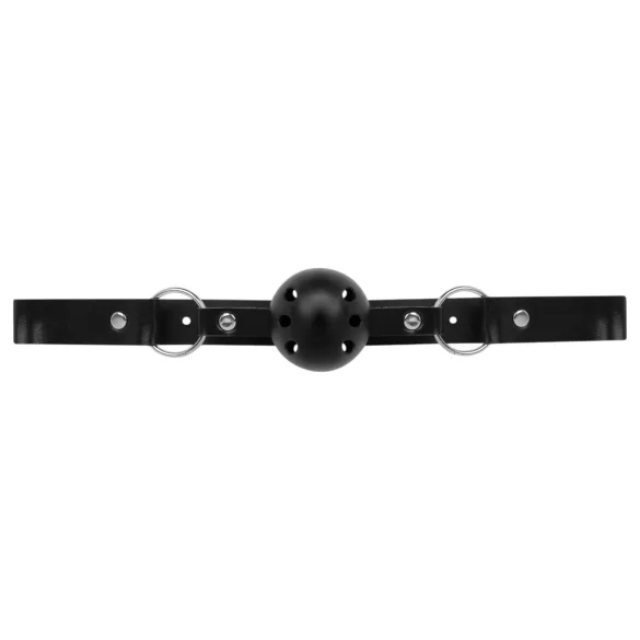 Secret Pleasure Chest - BDSM komplekts pieredzējušajiem - 14 daļas (melns)