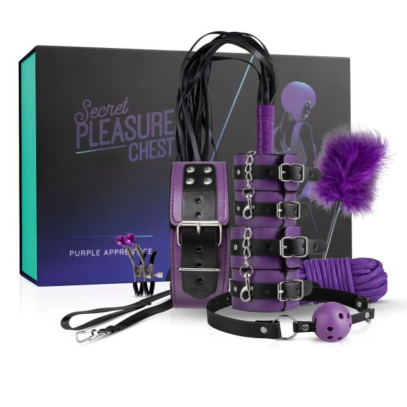 Secret Pleasure Chest - BDSM komplekts pieredzējušiem, 14 daļas