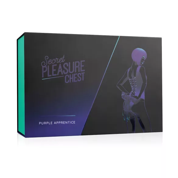 Secret Pleasure Chest - progresīvs BDSM komplekts (14 daļās)