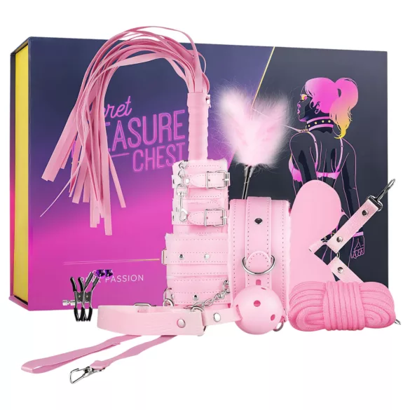 Secret Pleasure Chest - BDSM komplekts pieredzējušajiem - 14 daļas (rozā)