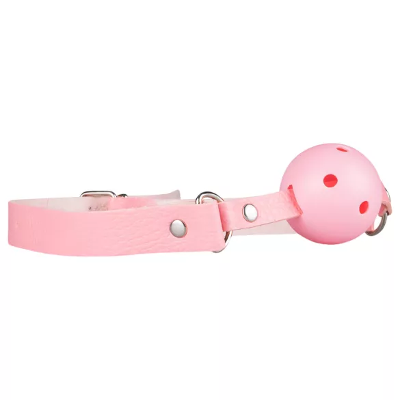 Secret Pleasure Chest - BDSM komplekts pieredzējušajiem - 14 daļas (rozā)