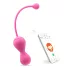 Magic Motion Kegel Master - gudro geišu bumbiņu duets (rozā)