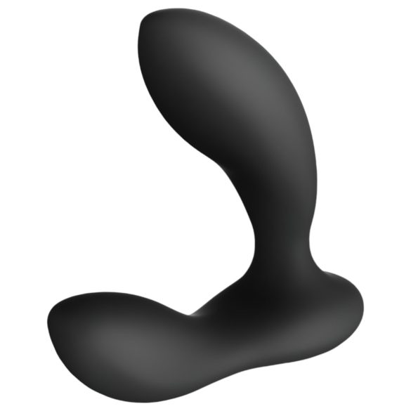 LELO Bruno - 2 motoru prostatas masieris (melns)