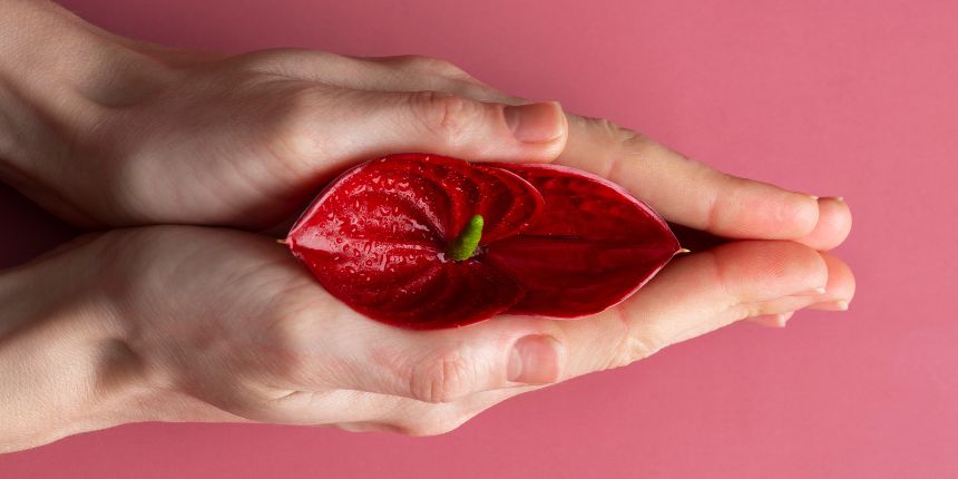 Klitora stimulācija ar diskrētu baudas rotaļlietu, lovesexshop.lv seksa veikals